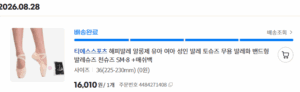 발레슈즈 입문